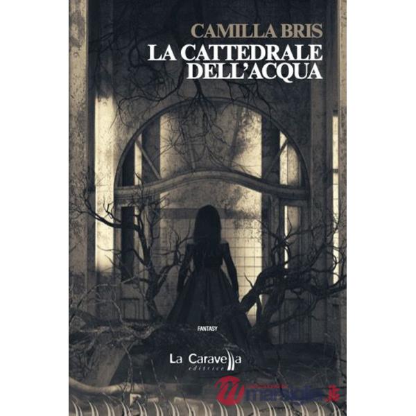 Cattedrale dell'acqua (La)