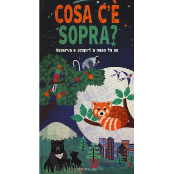 Cosa c'è sopra? Osserva e scopri a naso in su. Libro pop-up. Ediz. a colori