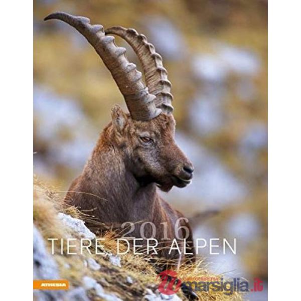 Tiere der Alpen 2016