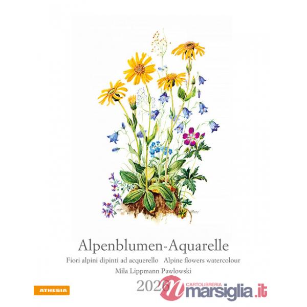 Alpenblumen-Aquarelle. Fiori alpini dipinti ad acquerello. Calendario grande 2026