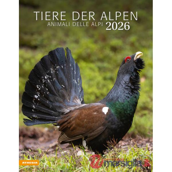 Tiere der Alpen. Animali delle Alpi. Calendario grande 2026