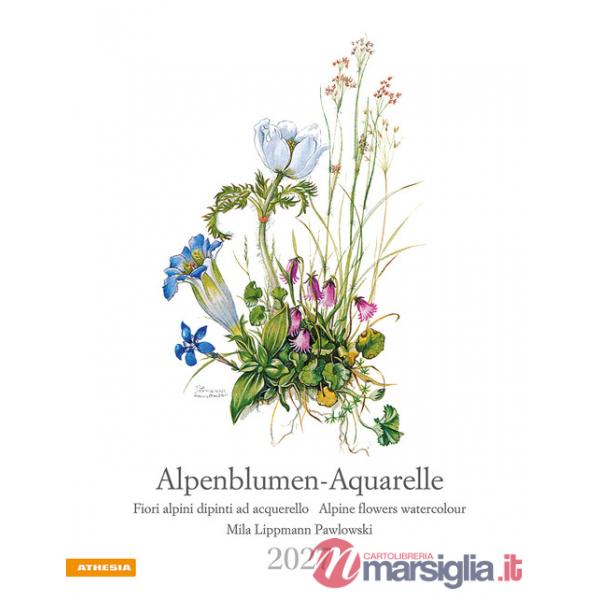 Alpenblumen-Aquarelle. Kalender 2027