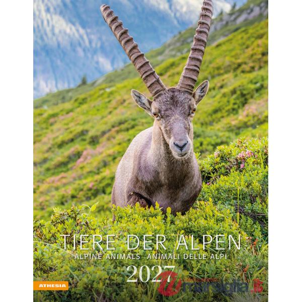 Tiere der Alpen. Kalender 2027