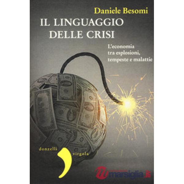 Linguaggio della crisi. L'economia tra esplosioni, tempeste e malattie (Il)