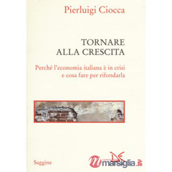 Tornare alla crescita. Perché l'economia italiana è in crisi e cosa fare per rif