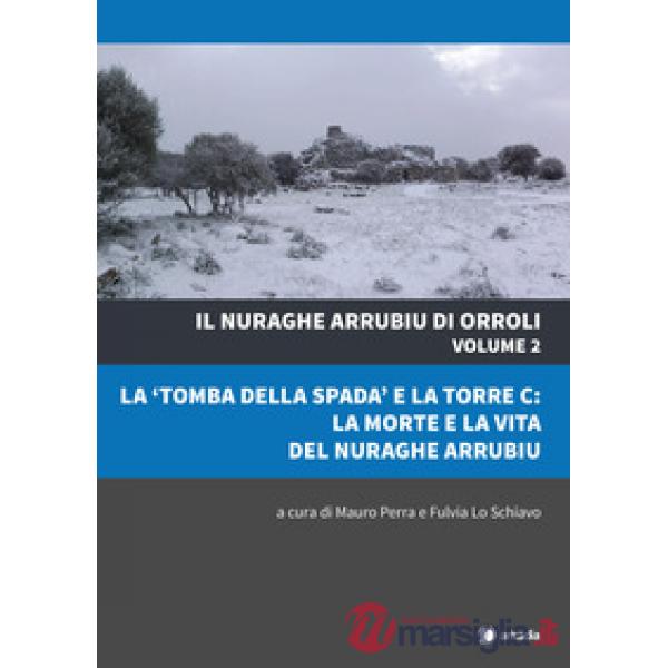 Nuraghe Arrubiu di Orroli. Con DVD-ROM (Il). Vol. 2: La «tomba della spada» e la