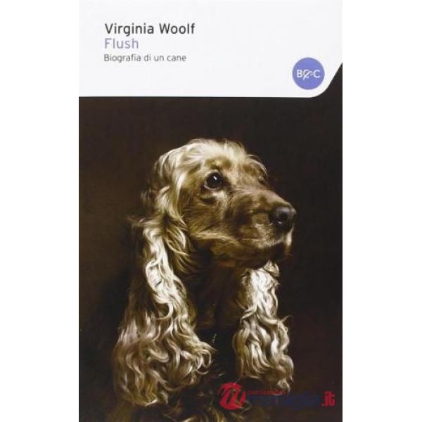 Flush, biografia di un cane
