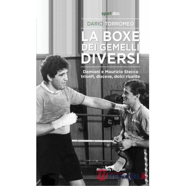 Boxe dei gemelli diversi. Damiani e Maurizio Stecca: trionfi, discese, dolci risalite (La)
