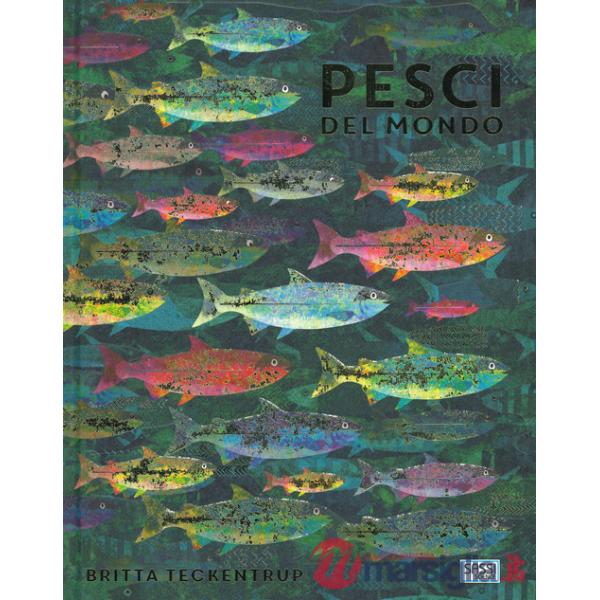 Pesci del mondo