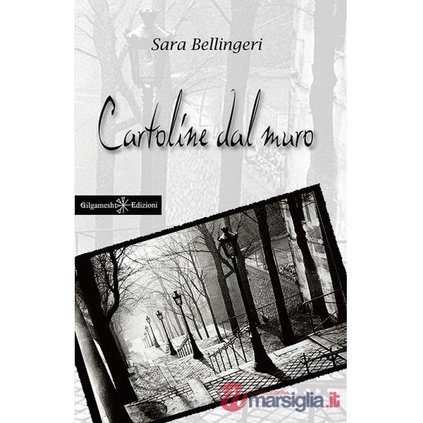 Cartoline dal muro. Con Libro in brossura