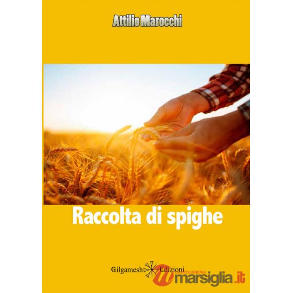 Raccolta di spighe
