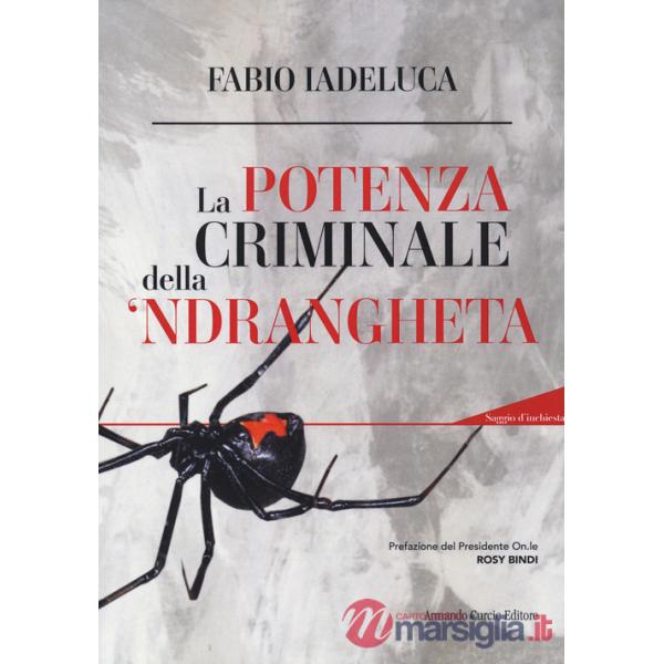 Potenza criminale della 'ndrangheta. Con QR-code (La)