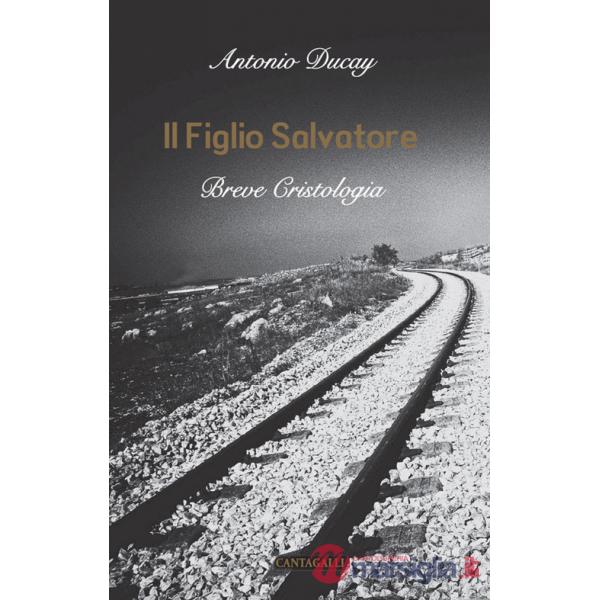 Figlio Salvatore. Breve cristologia (Il)