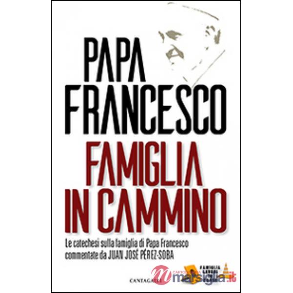 Famiglia in cammino. La catechesi sulla famiglia di papa Francesco