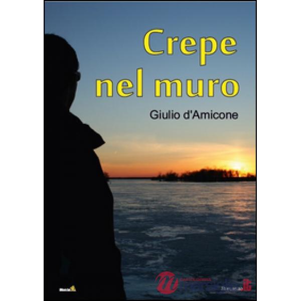 Crepe nel muro