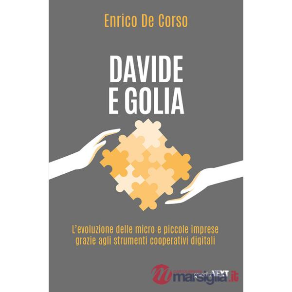 Davide e Golia. L'evoluzione delle micro e piccole imprese grazie agli strumenti cooperativi digitali