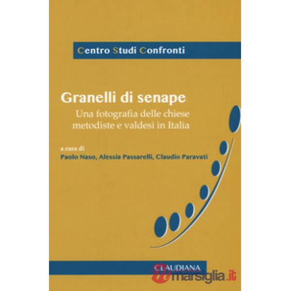 Granelli di senape. Una fotografia delle delle chiese metodiste e valdesi in Ita