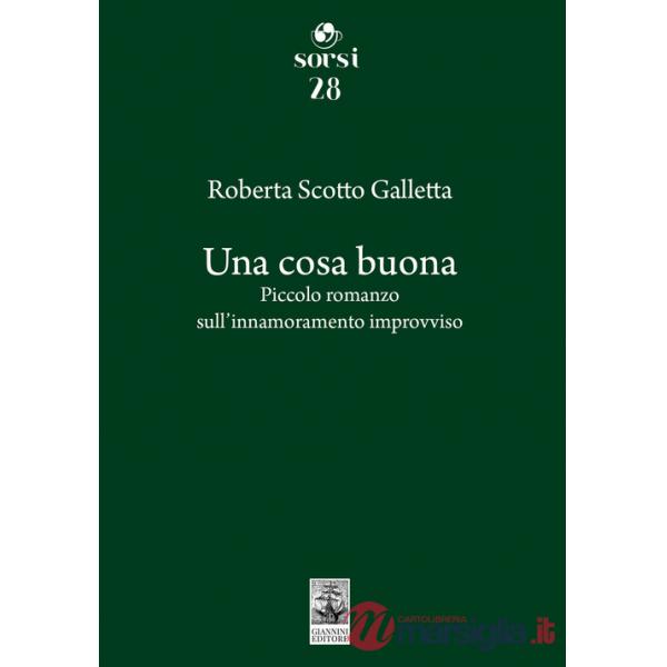 Cosa buona. Piccolo romanzo sull'innamoramento improvviso (Una)