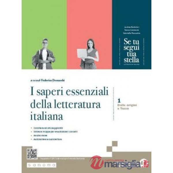 SE TU SEGUI TUA STELLA 2 (TIPO C)