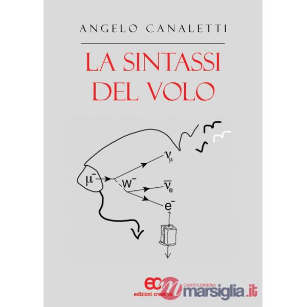 Sintassi del volo (La)