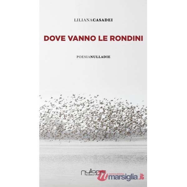 Dove vanno le rondini