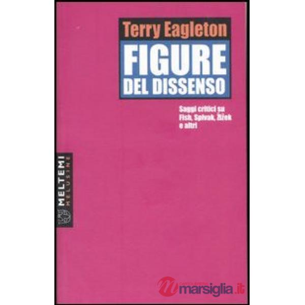 Figure del dissenso. Saggi critici su Fish, Spivak, Zizek e altri