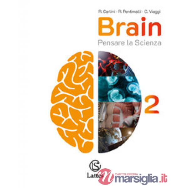 BRAIN VOL. 2