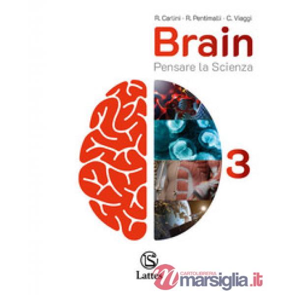 BRAIN VOL. 3