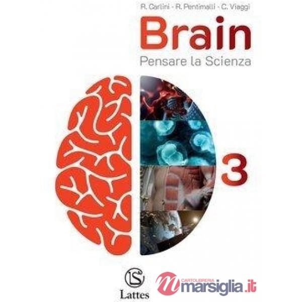 BRAIN VOL. 3