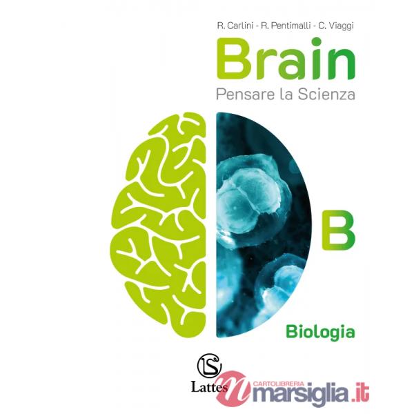 BRAIN