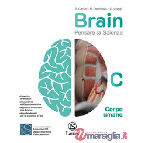 BRAIN VOL. C