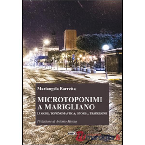 Microtoponimi a Marigliano. Luoghi, toponomastica, storia, tradizione