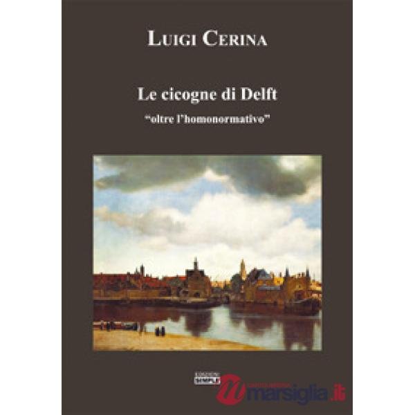 Cicogne di Delft «oltre l'homonormativo» (Le)