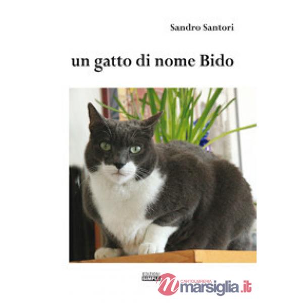 Un gatto di nome Bido