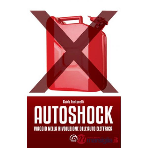 Autoshock. Viaggio nella rivoluzione dell'auto elettrica