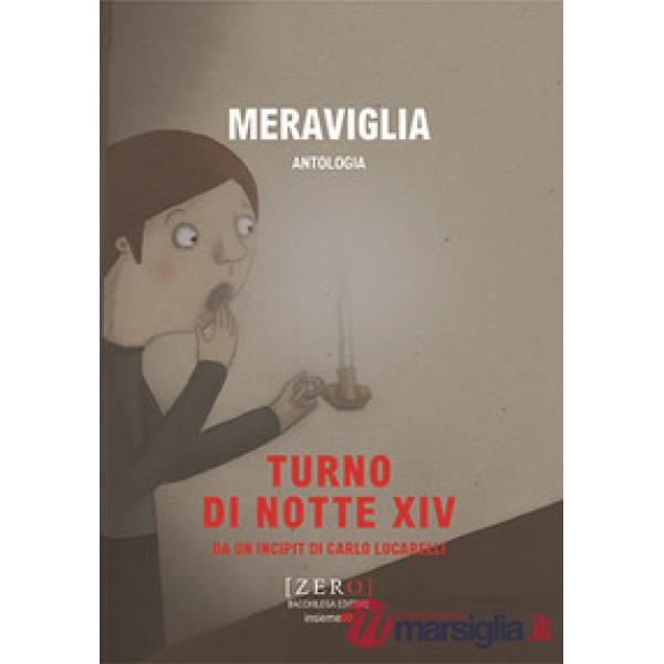 Meraviglia. Turno di notte XIV
