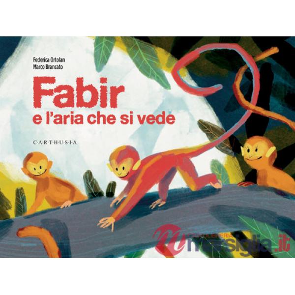 Fabir e l'aria che si vede. Ediz. a colori