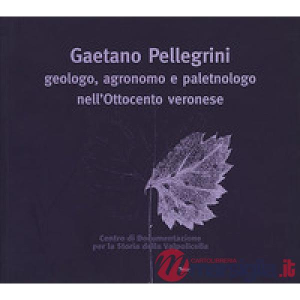 Gaetano Pellegrini geologo, agronomo e paletnologo nell'Ottocento veronese. Atti del Convegno