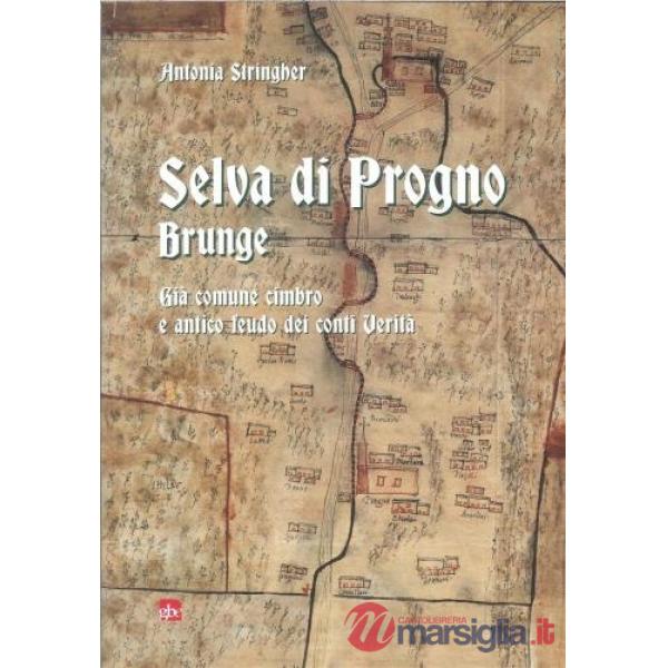 Selva di Progno. Brunge. Già comune cimbro e antico feudo dei conti Verità