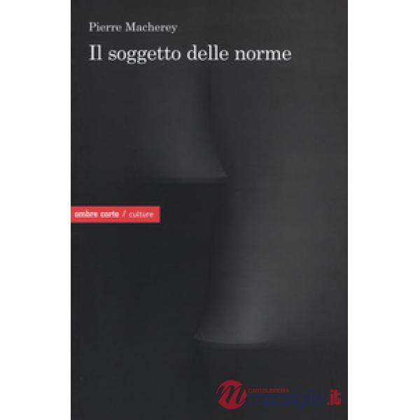 Soggetto delle norme (Il)