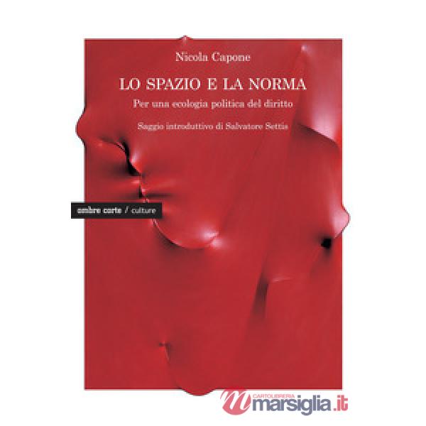 Spazio e la norma. Per una ecologia politica del diritto (Lo)