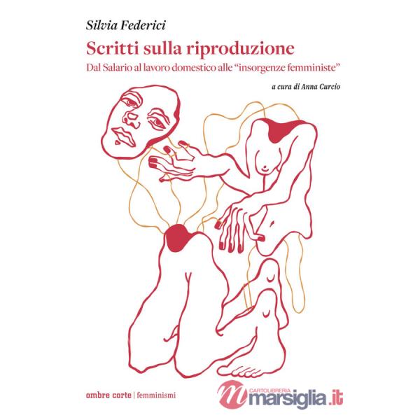 Scritti sulla riproduzione. Dal salario al lavoro domestico alle «insorgenze femministe»
