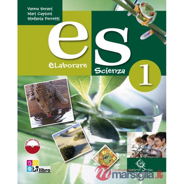 ES 1 + LD