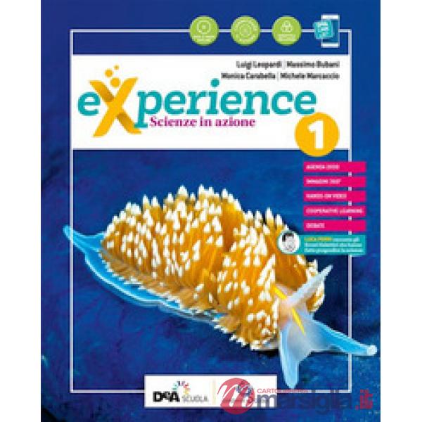 EXPERIENCE 1 + SB + EEB + EB