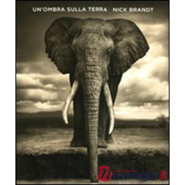 Ombra sulla terra. Ediz. illustrata (Un')