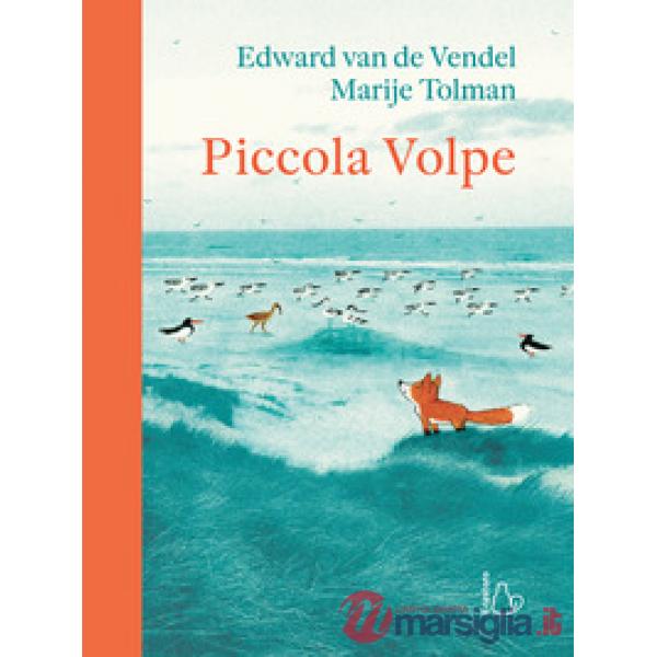 Piccola Volpe