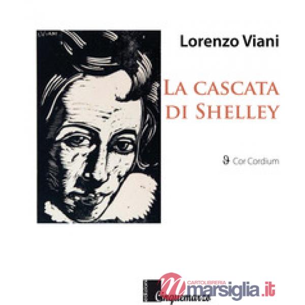 Cascata di Shelley (La)