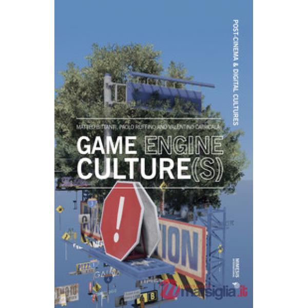 Game engine culture(s)