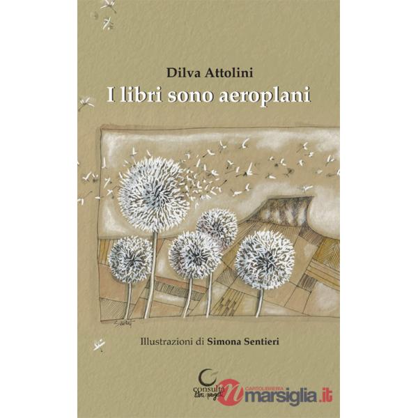 Libri sono aeroplani. Ediz. illustrata (I)