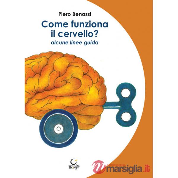 Come funziona il cervello? Alcune linee guida